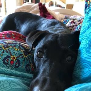 Meet your Posher, Hannah